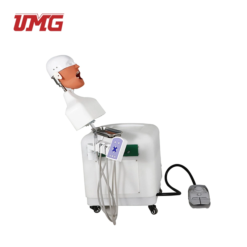 High-Quality Dental Simulation in Teaching Auxiliary Equipment