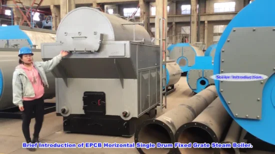 Epcb Famous Brand Coal Wood Pellet Biomass- Fired Steam Boiler for Textile Factories